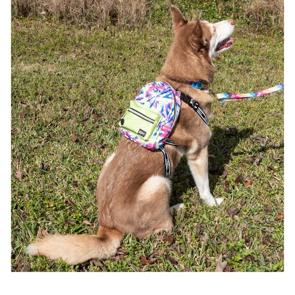 Justice pet nylon tiedye waste bag dispensing back pack and dog harness xs-a - Picture 1 of 6